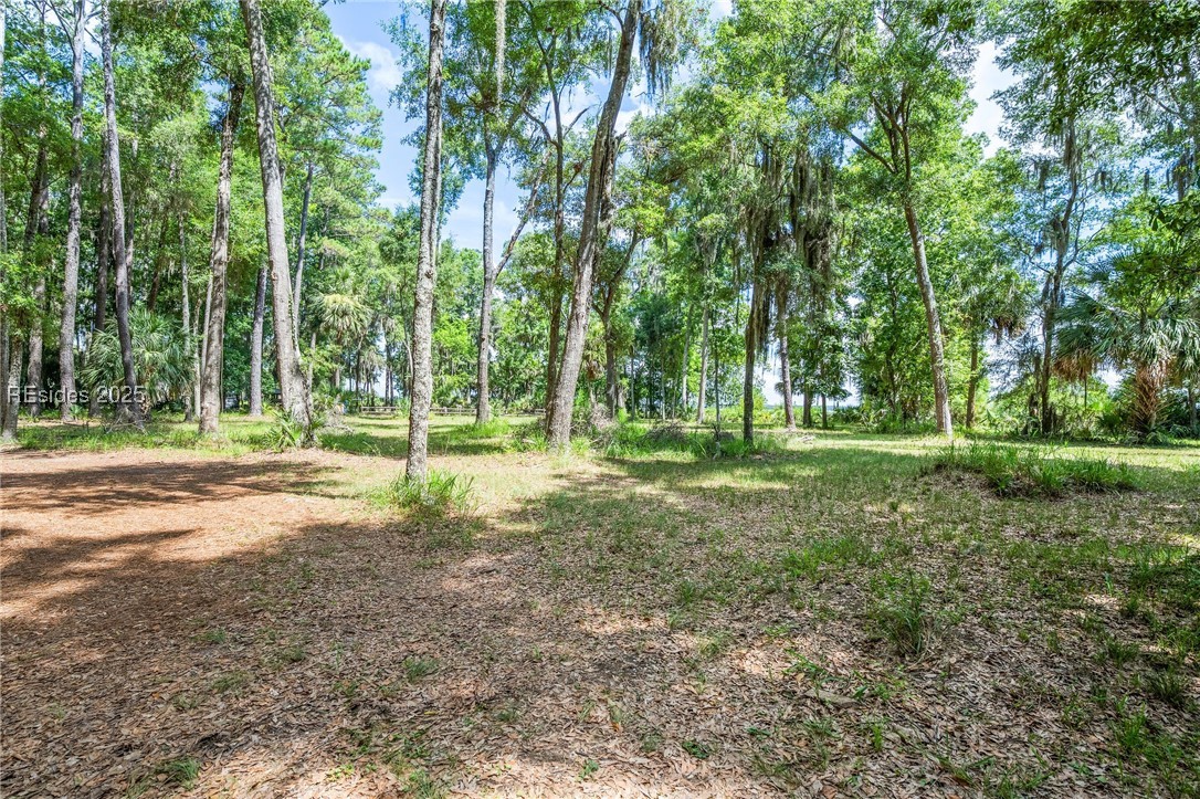 111 Carvin Road Daufuskie Island, SC 29915 - Photo 7 of 14