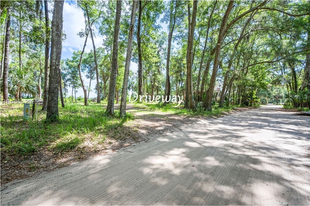 111 Carvin Road Daufuskie Island, SC 29915 - Photo 8 of 14