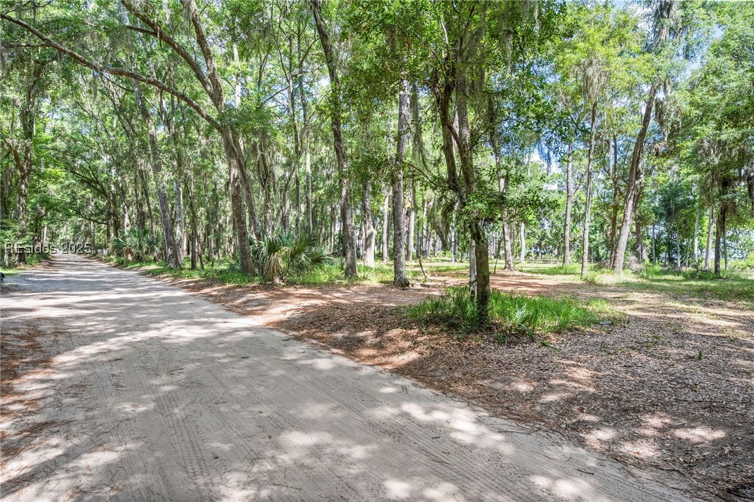 111 Carvin Road Daufuskie Island, SC 29915 - Photo 9 of 14