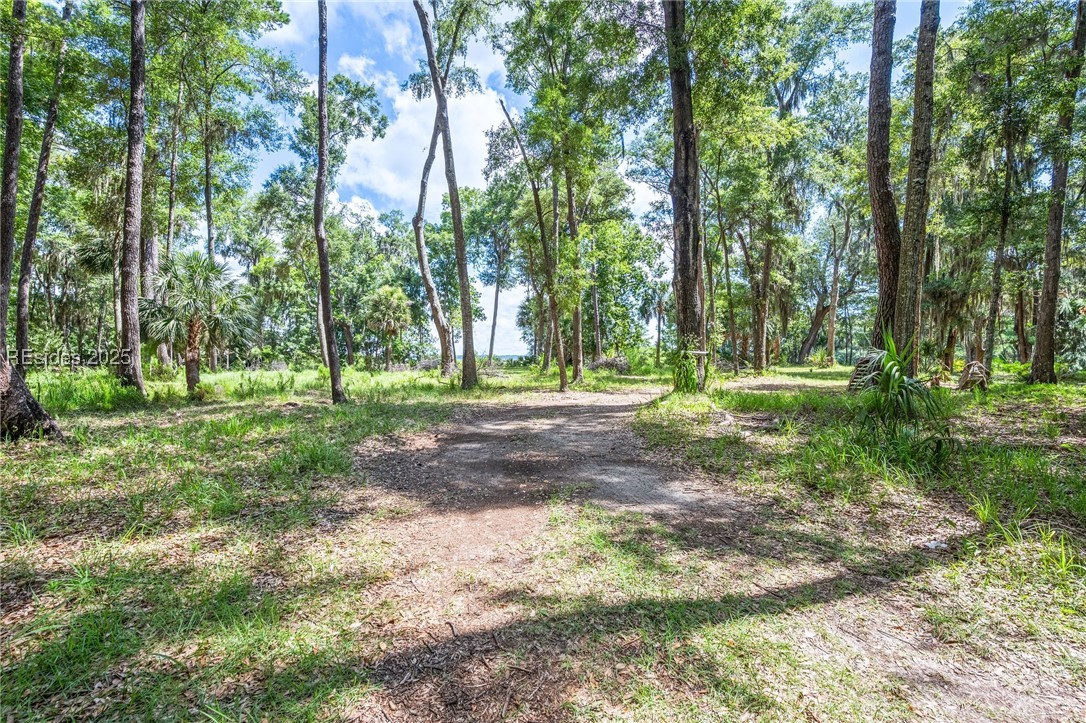 111 Carvin Road Daufuskie Island, SC 29915 - Photo 10 of 14