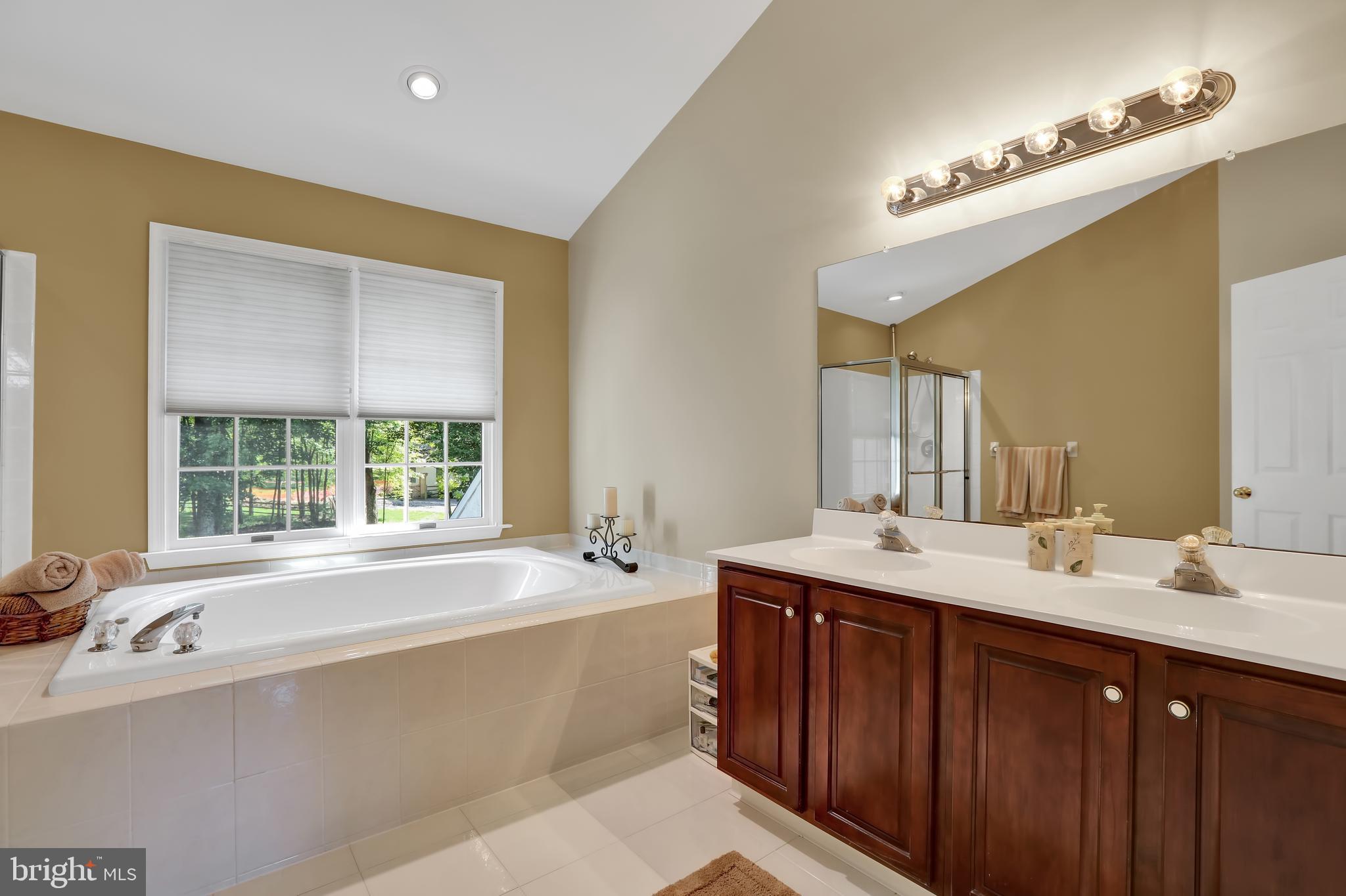 305 West Sandy Ridge Road Doylestown, PA 18901 - Photo 22 of 32 Master bathroom with double vanity
