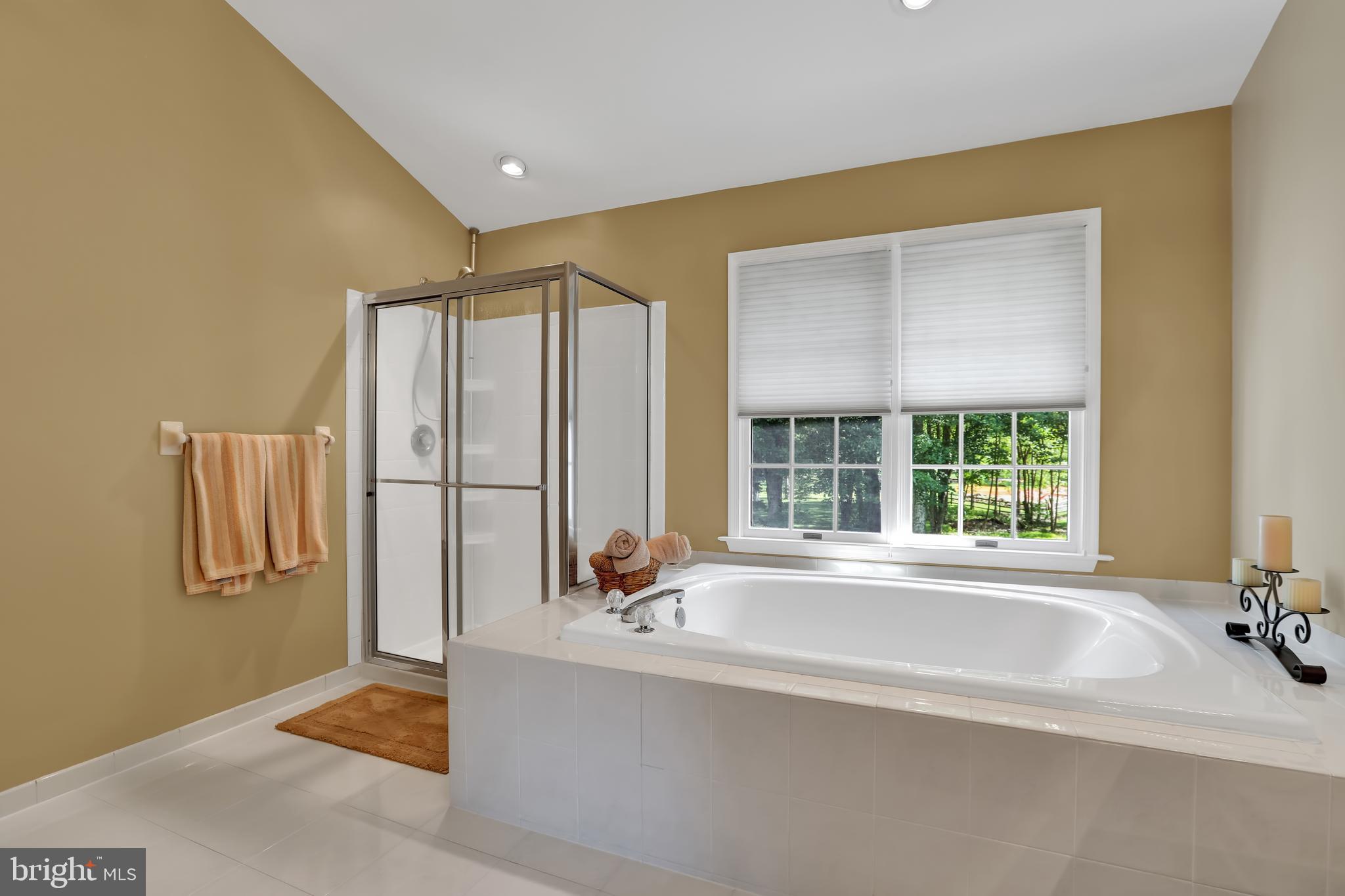 305 West Sandy Ridge Road Doylestown, PA 18901 - Photo 23 of 32 Master bathroom with soaking tub and shower