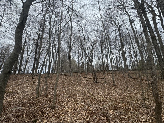 Lot 4 Shaver Hill Road Meridale, NY 13806 - Photo 34 of 44
