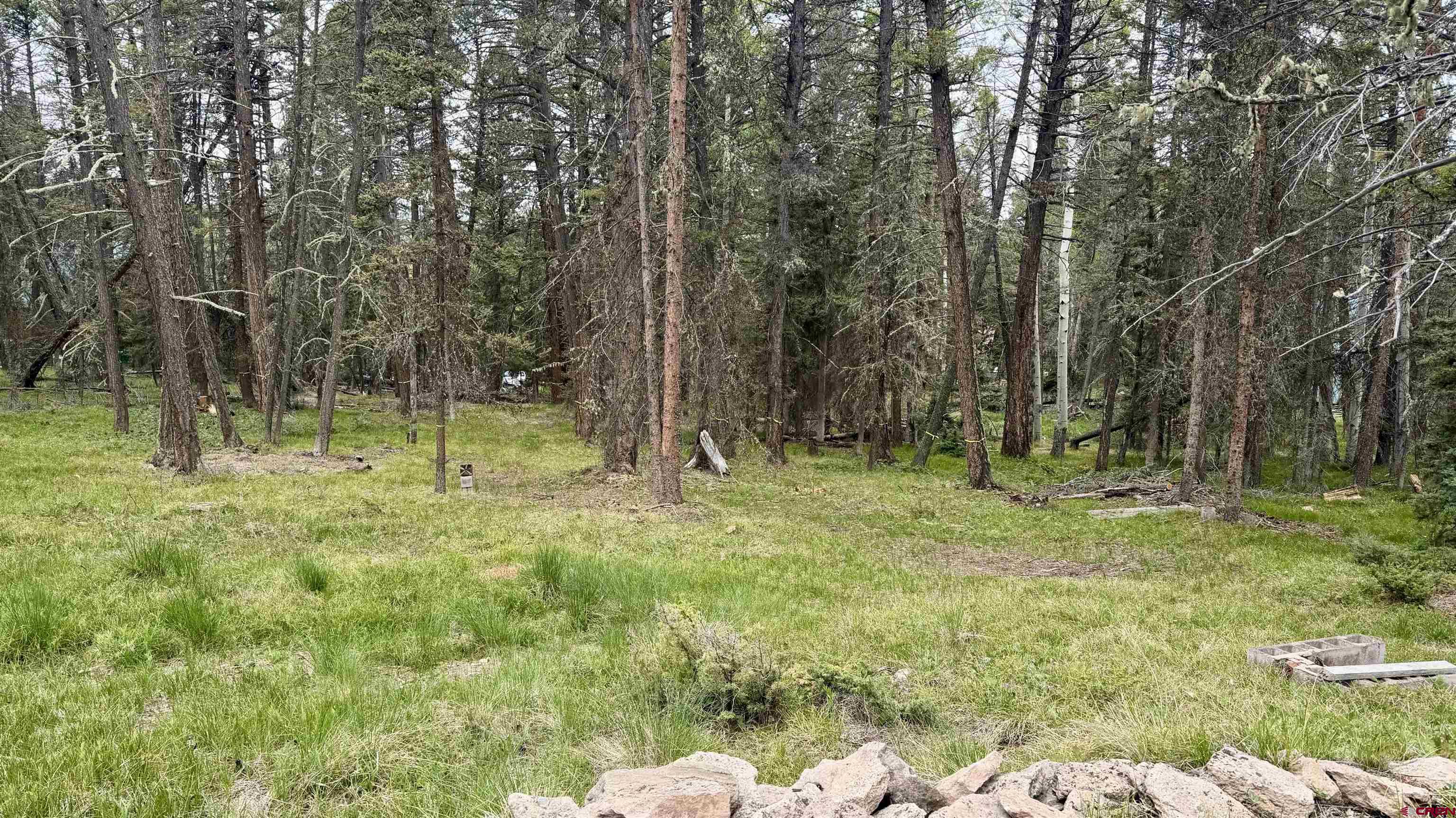 1301 Spruce Road Cimarron, CO 81220 - Photo 10 of 12
