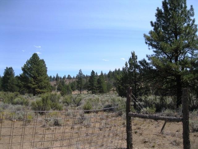 0 Godowa Springs Road Beatty, OR 97621 - Photo 1 of 12 Primary Photo