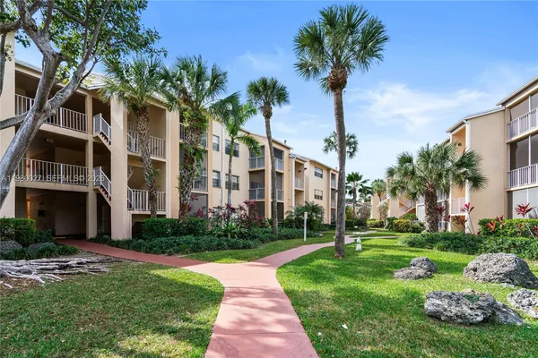 a view of a park with palm trees