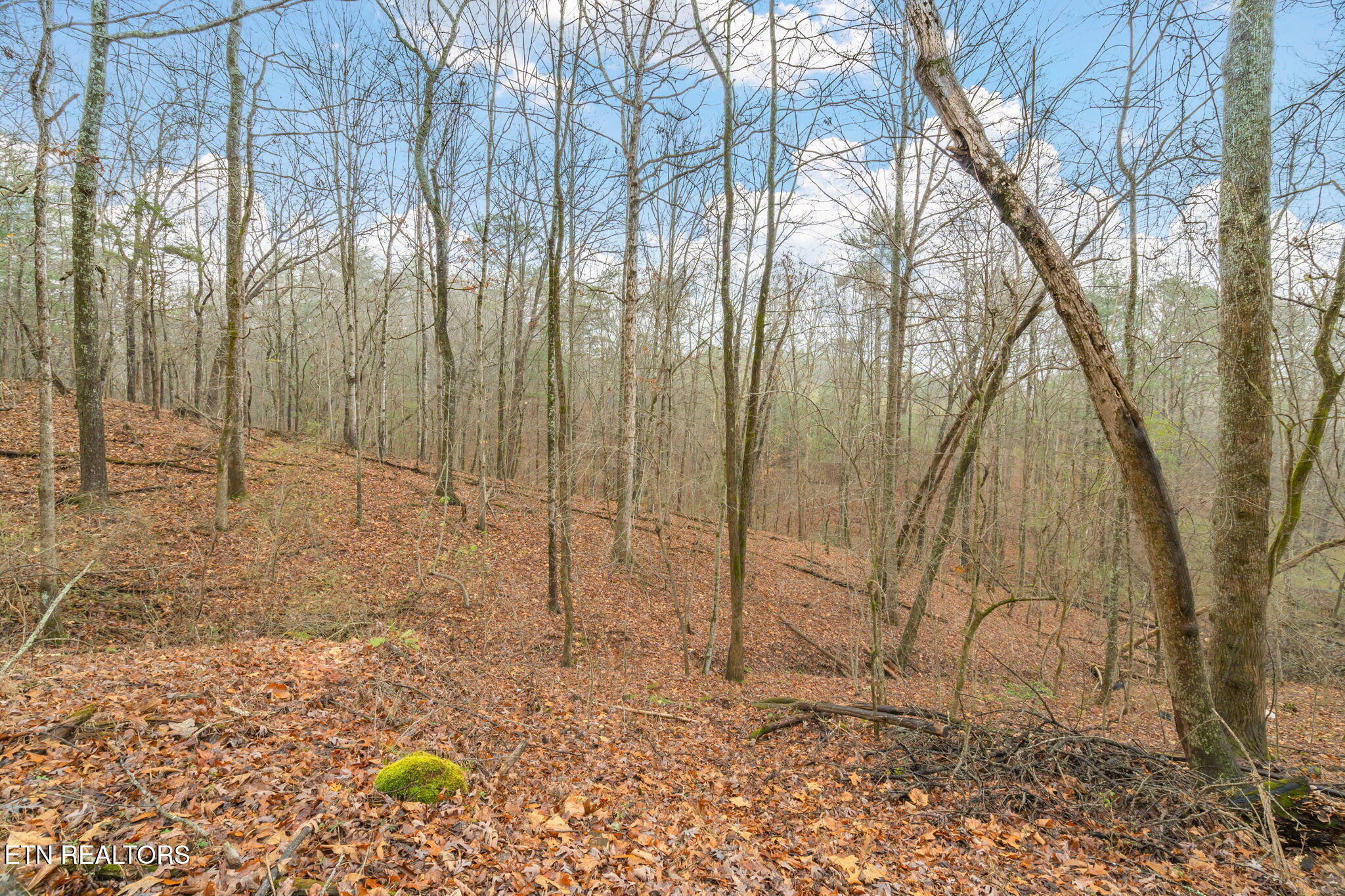131 Cates Road Rockwood, TN 37854 - Photo 39 of 51 36-web-or-mls-131 Cates Road-28