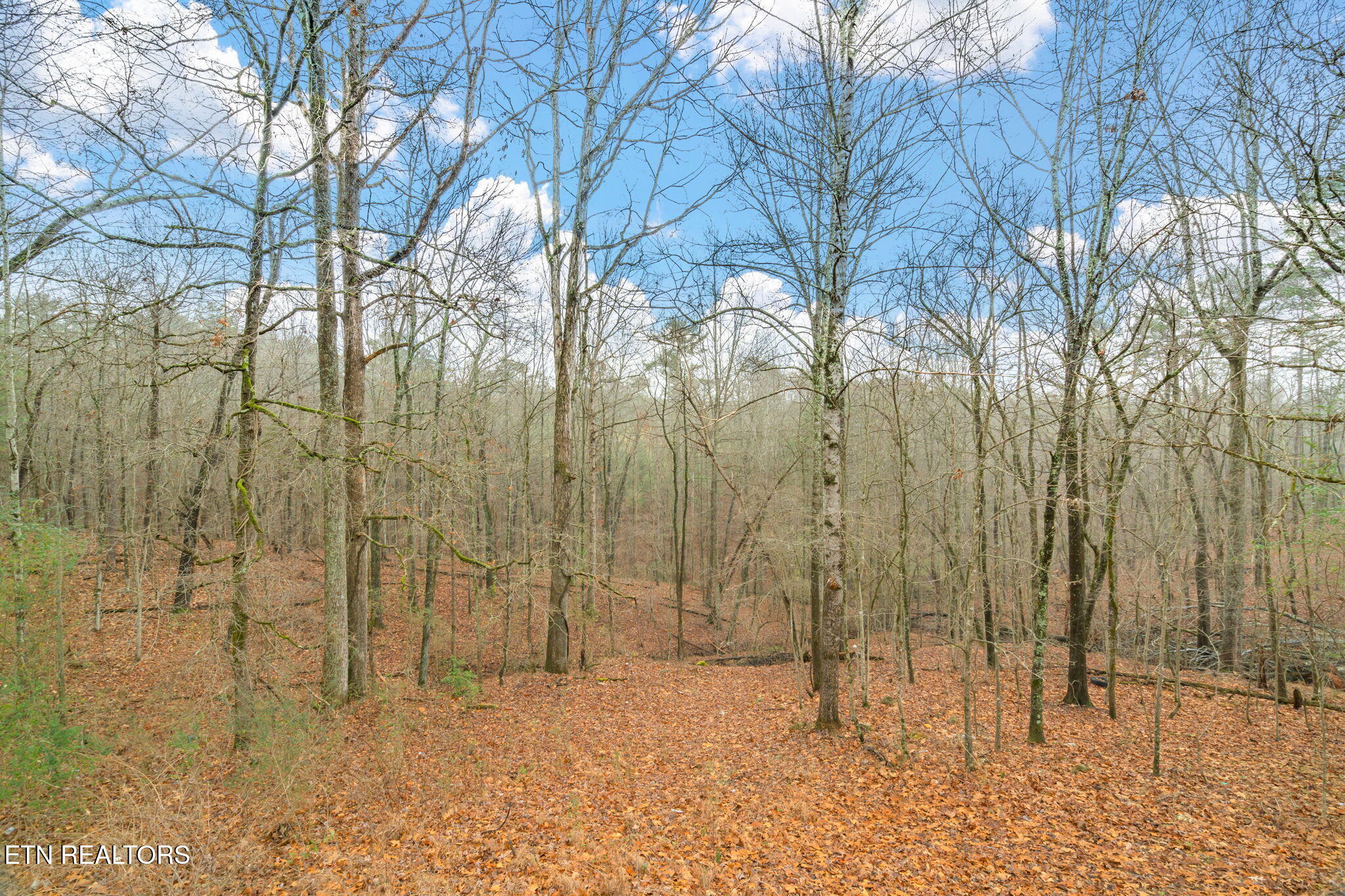 131 Cates Road Rockwood, TN 37854 - Photo 41 of 51 38-web-or-mls-131 Cates Road-30