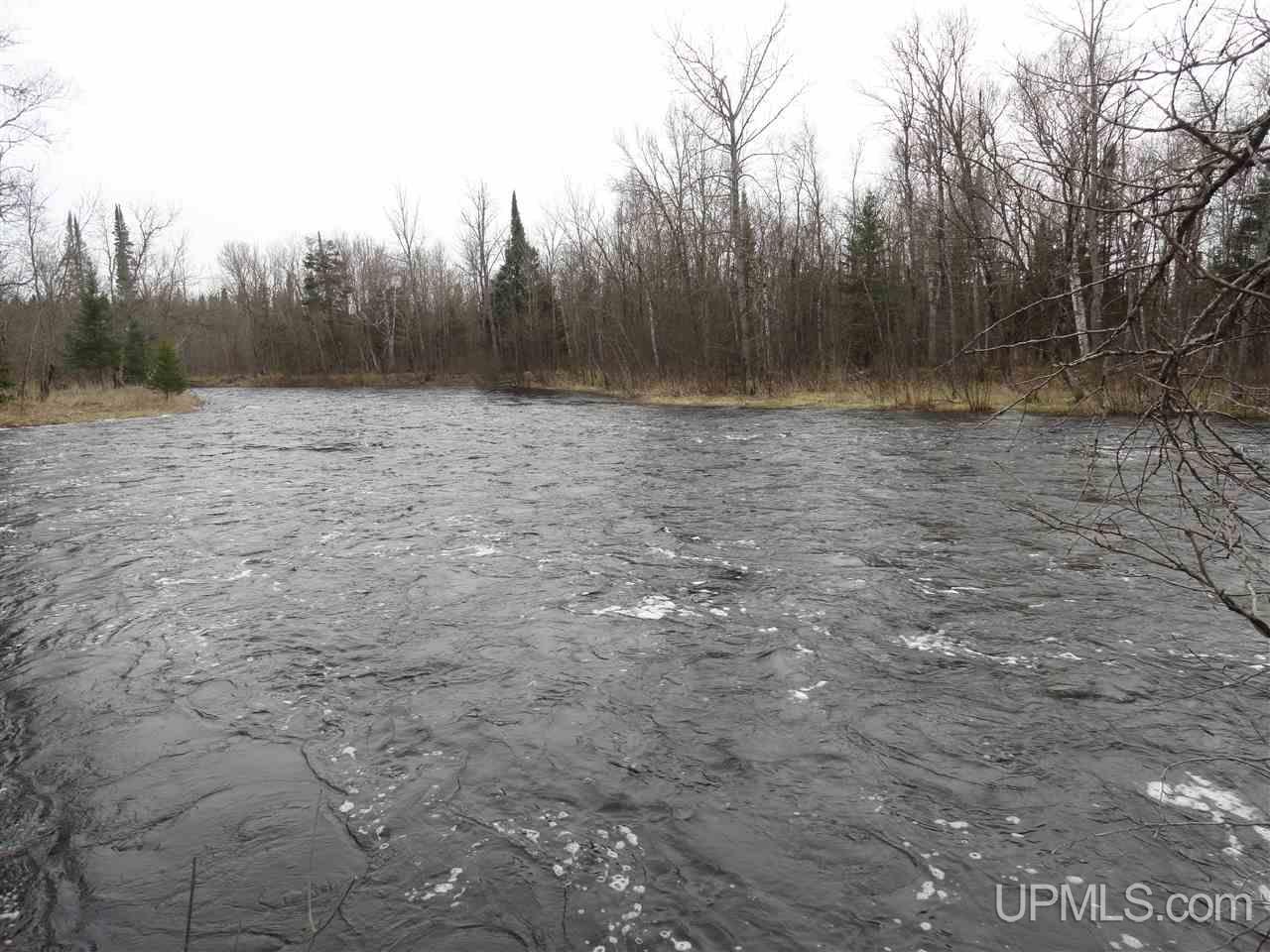 44-acres Ford River Road Arnold, MI 49831 - Photo 4 of 36