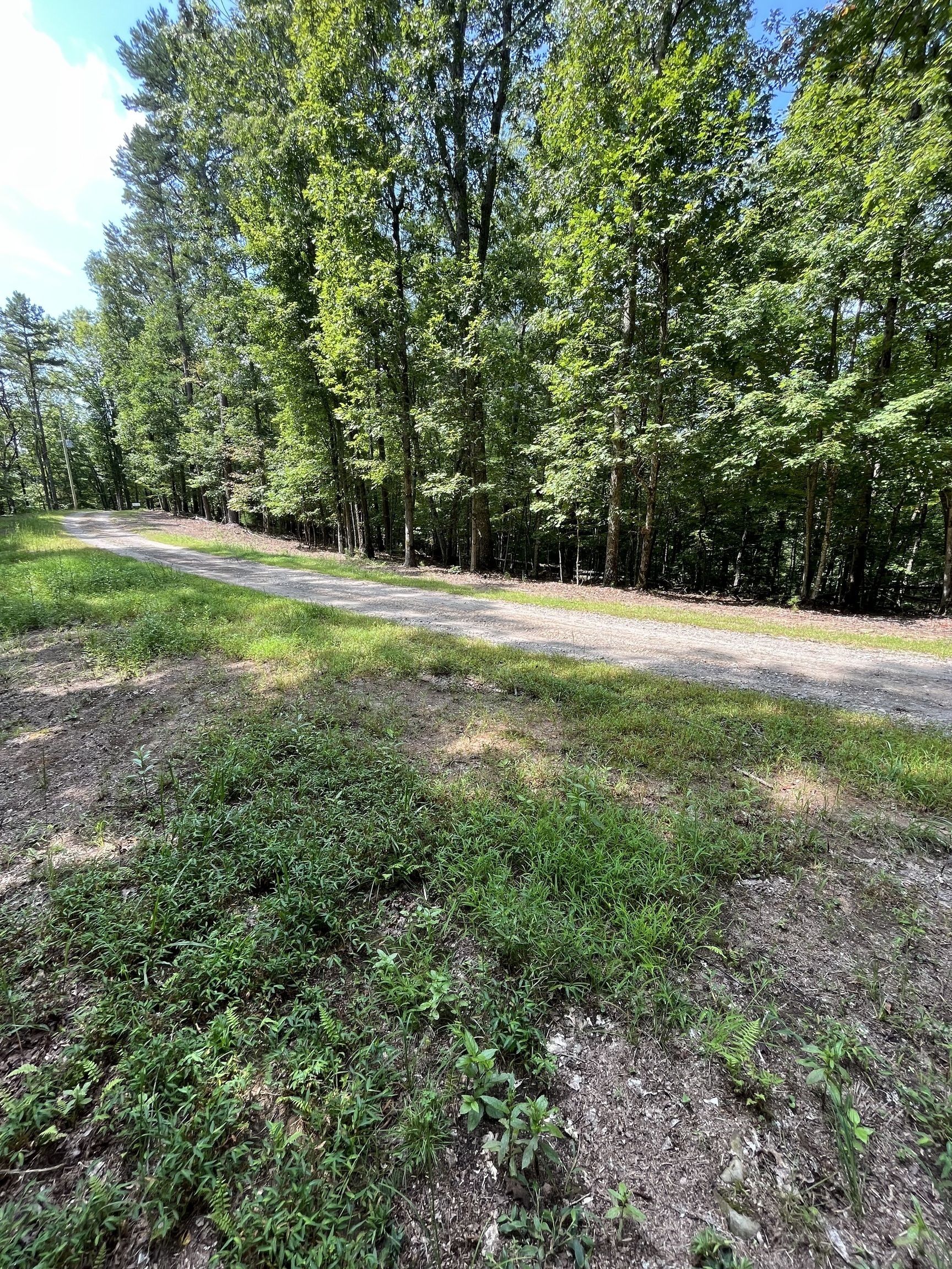 342 Three Oaks Drive Morganton, GA 30560 - Photo 1 of 1 Gallery Image 1
