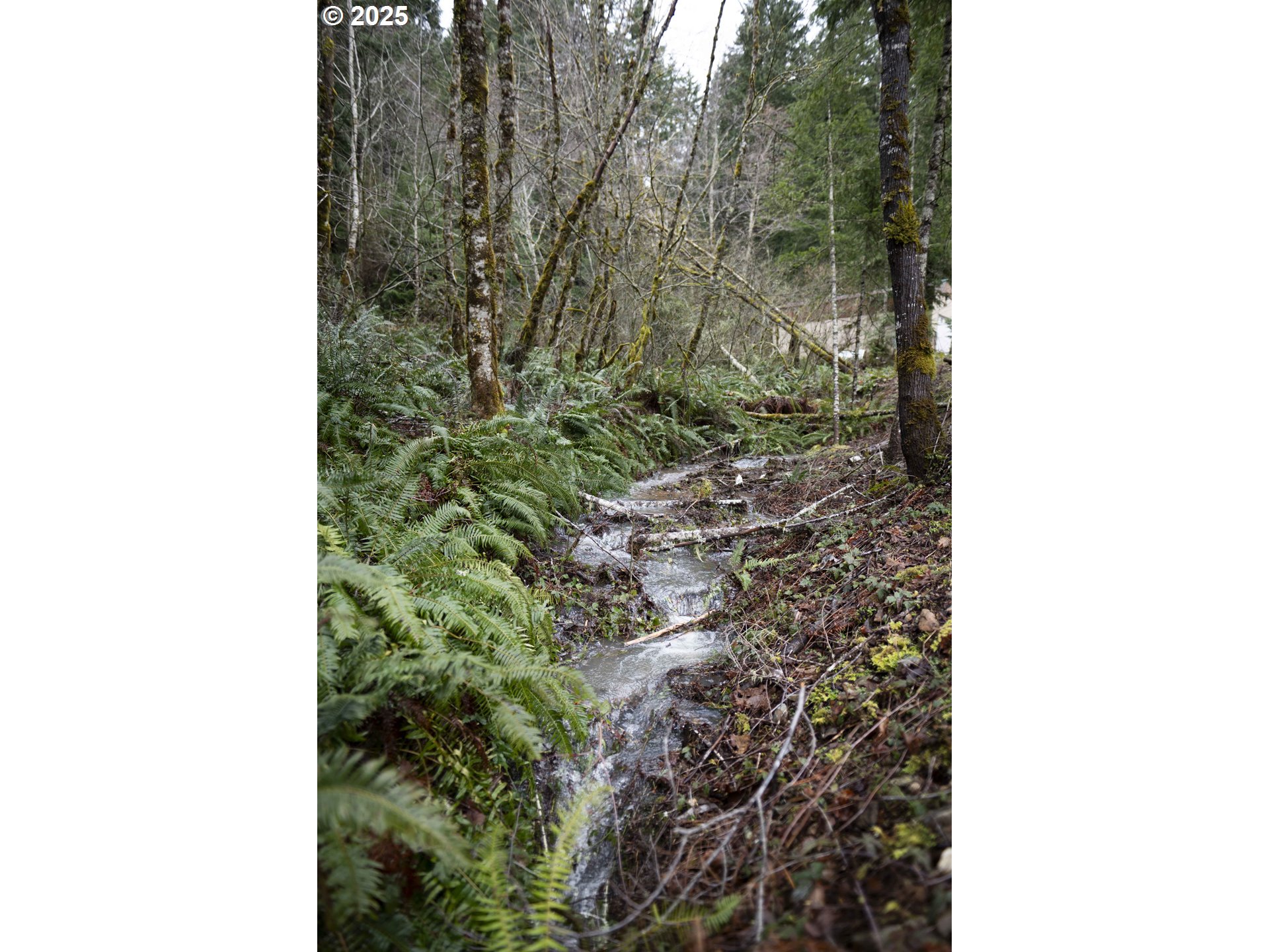 6228 Upper Cow Creek Road Azalea, OR 97410 - Photo 43 of 48