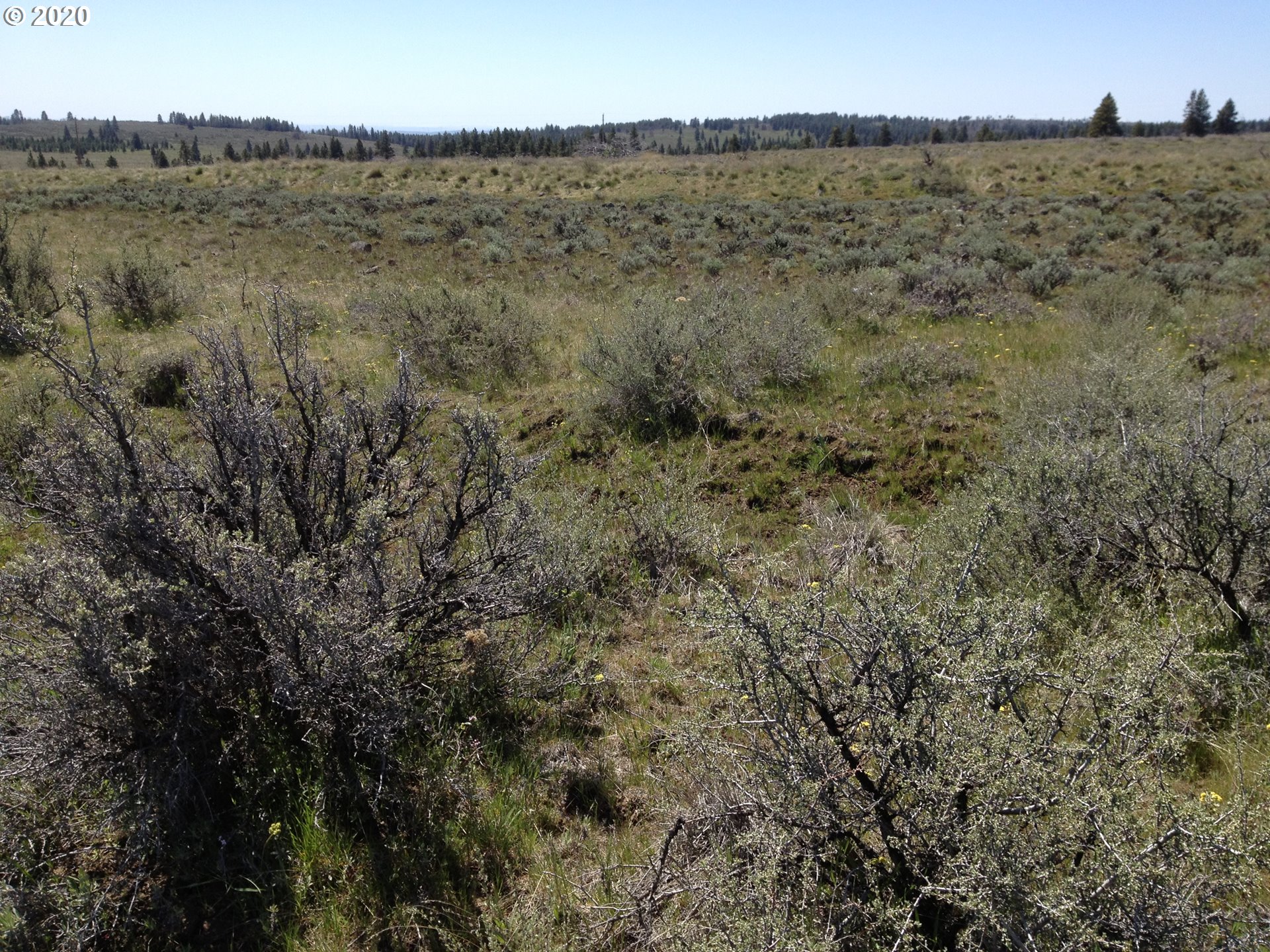 Nna Cougar Road Roosevelt, WA 99356 - Photo 2 of 9 Gallery Image 2