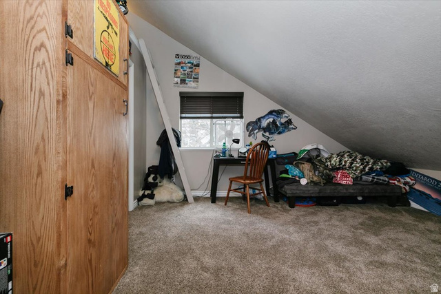 7203 East Cub River Road Preston, ID 83263 - Photo 18 of 33 Bonus room featuring vaulted ceiling and light carpet