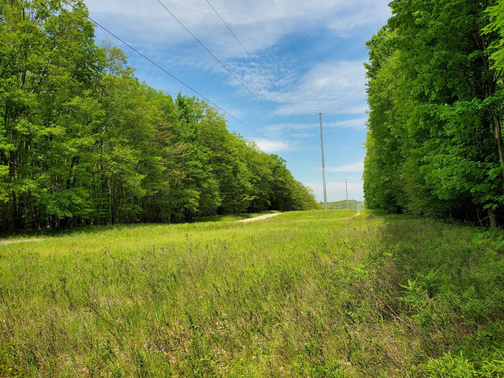 North State Road Chase, MI 49623 - Photo 8 of 11 att7