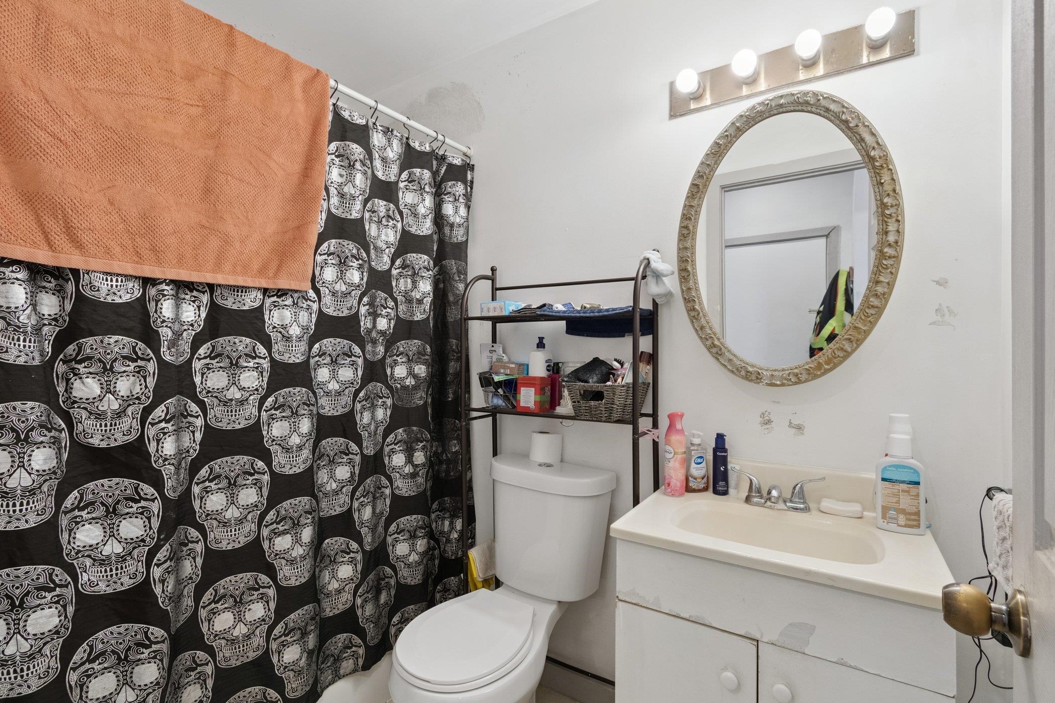 522 South State Street Belvidere, IL 61008 - Photo 40 of 67 a bathroom with a sink a mirror a toilet and a mirror