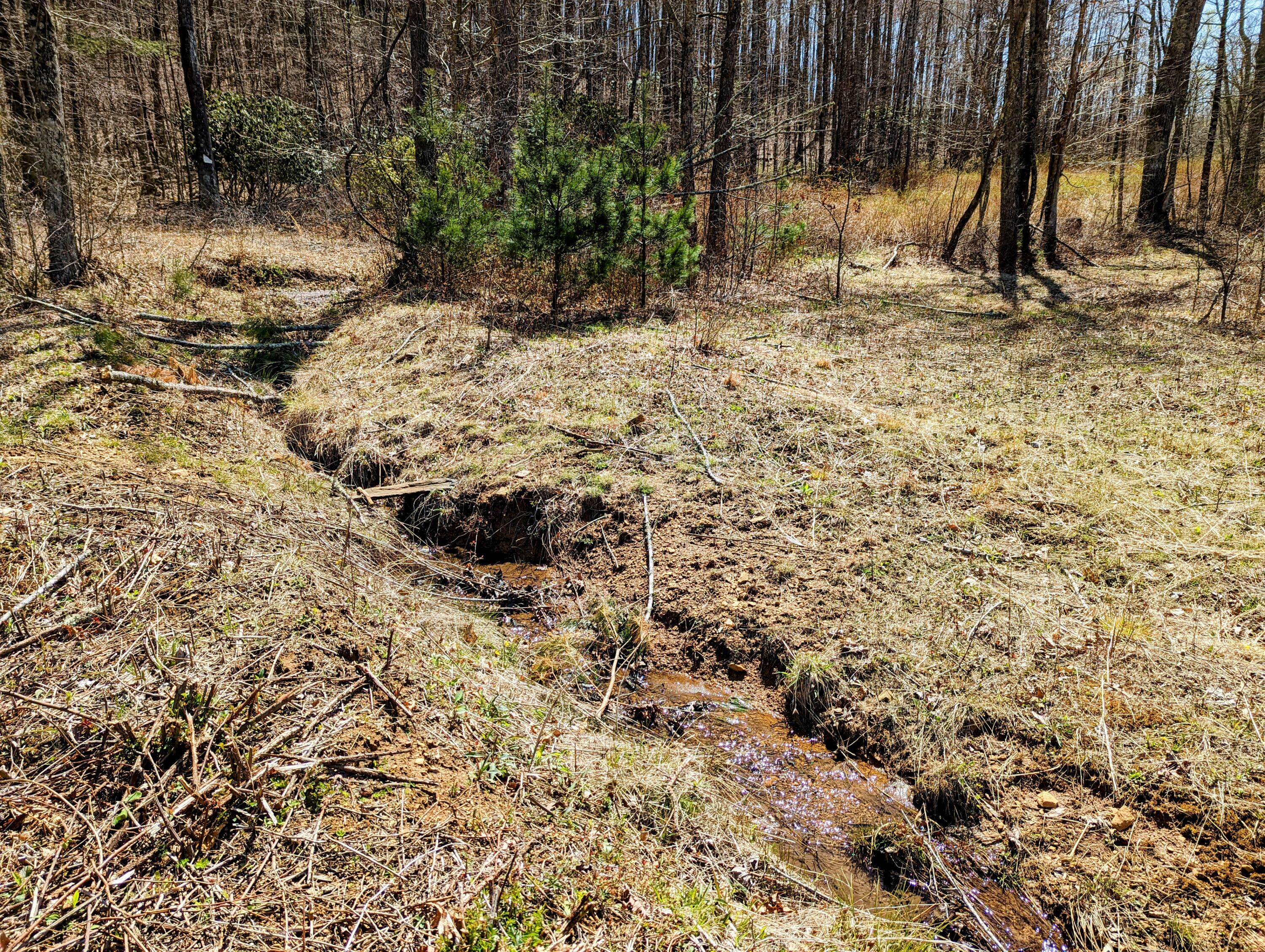 0 Buffalo Mountain Road Southwest Willis, VA 24380 - Photo 2 of 4 a view of outdoor space with trees