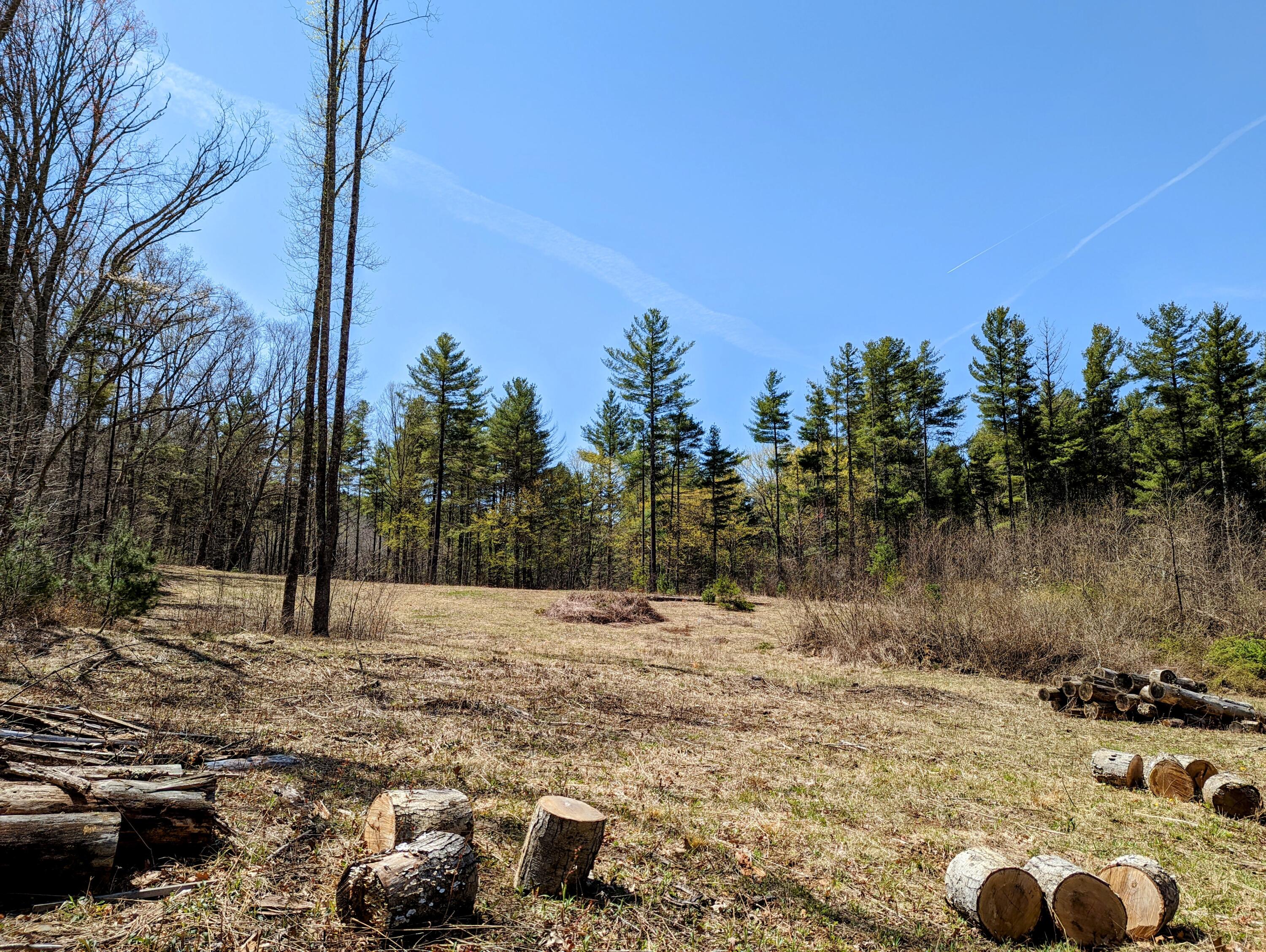 0 Buffalo Mountain Road Southwest Willis, VA 24380 - Photo 3 of 4 a view of outdoor space yard and trees
