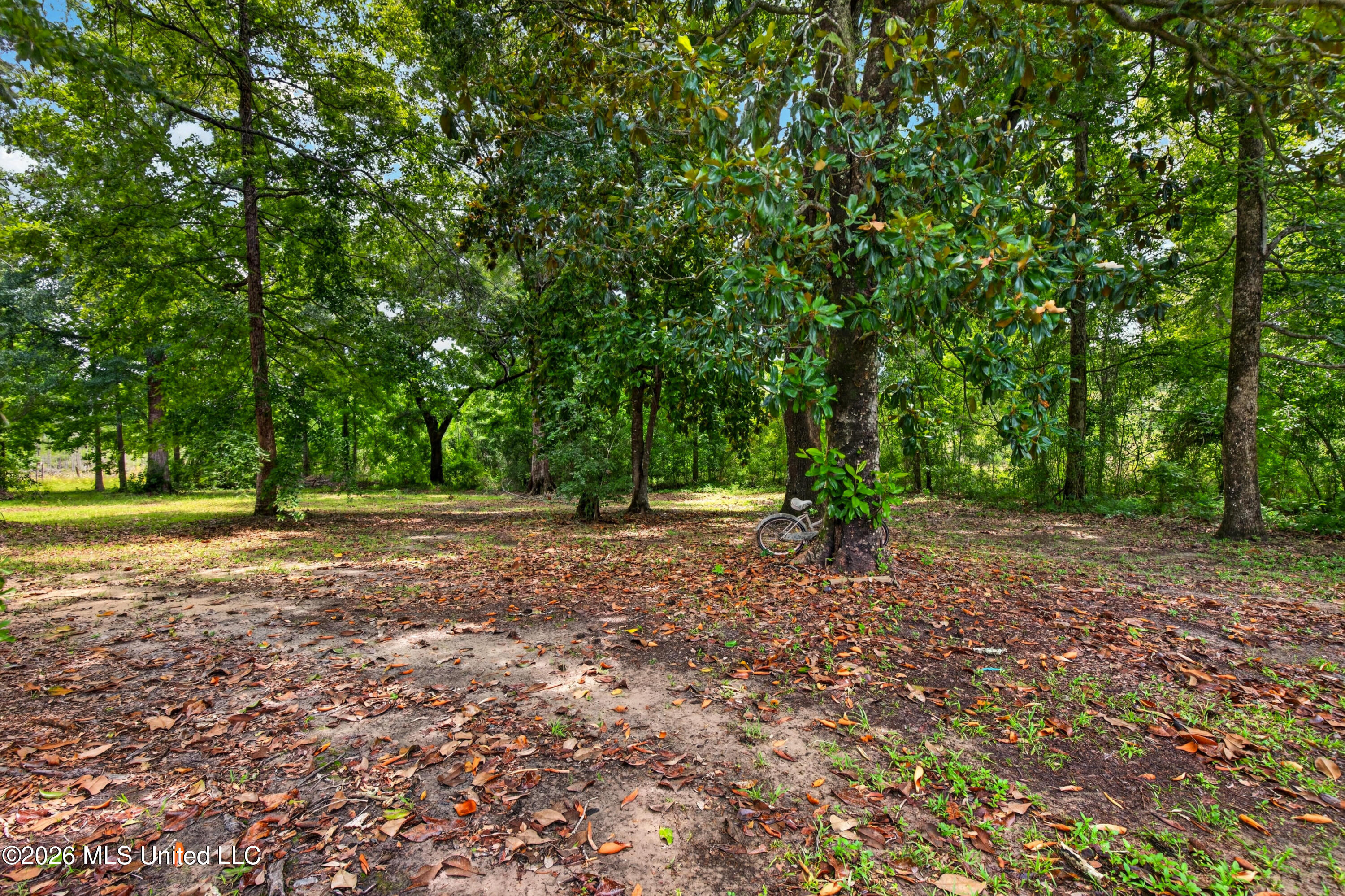 17990 Cuevas Road Kiln, MS 39556 - Photo 50 of 76 17990CuevasRd.-19