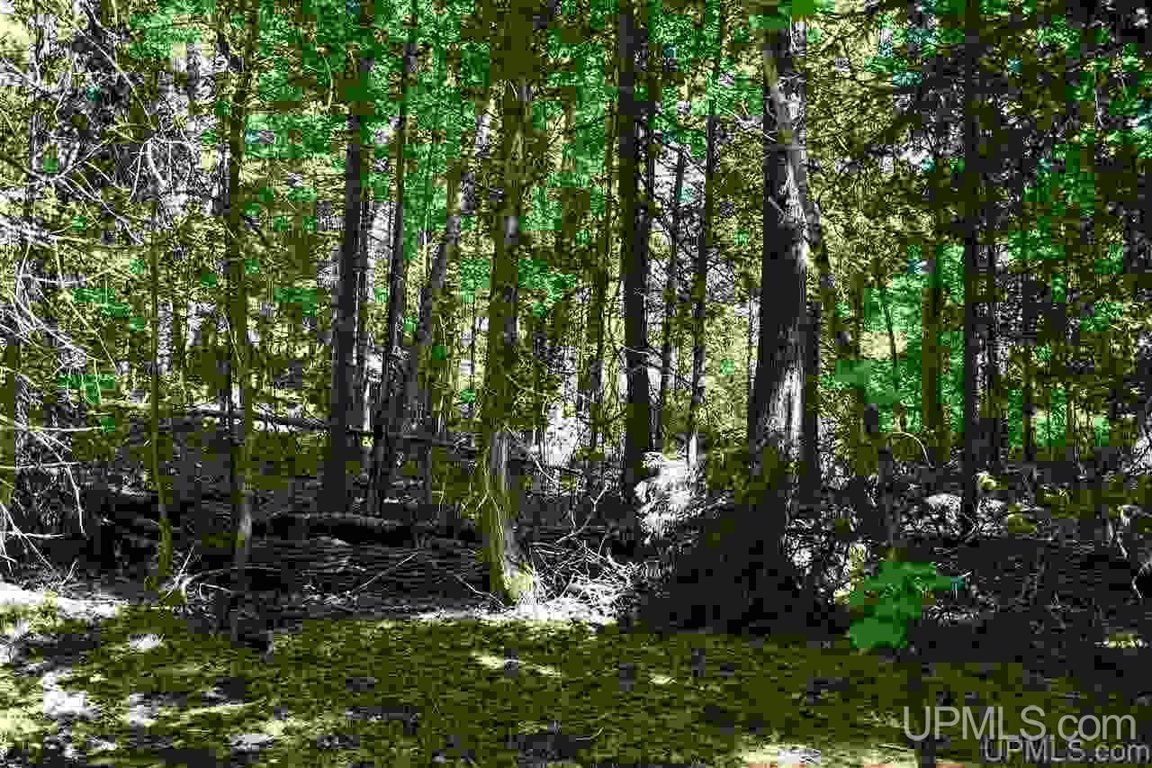 1125 Cooper Lake Road Ishpeming, MI 49849 - Photo 4 of 32