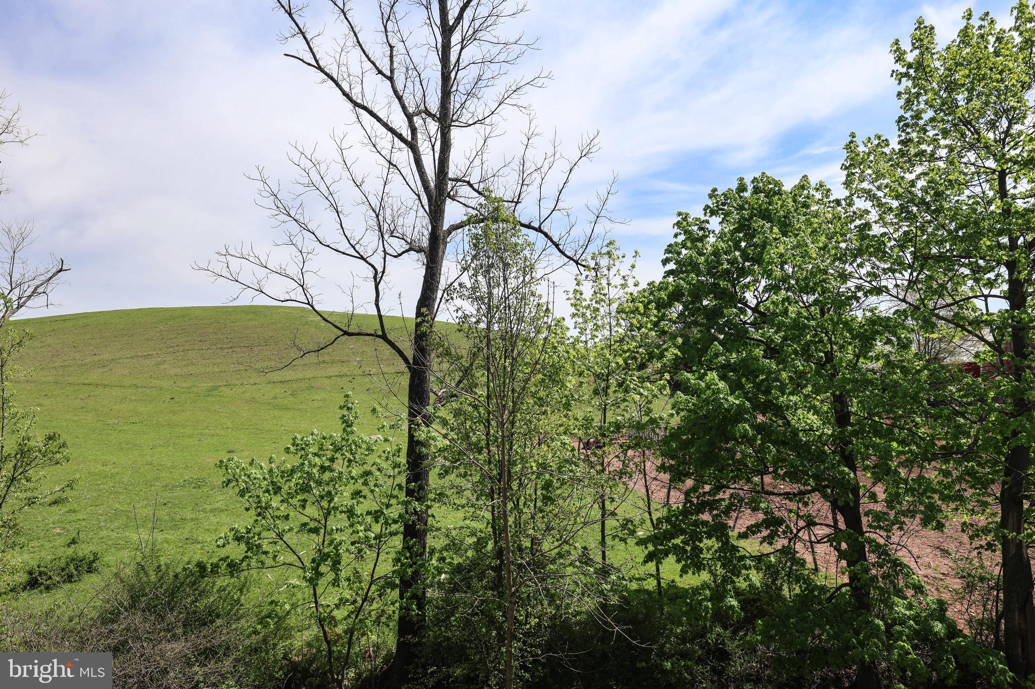 519 Old Forge Road Pine Grove, PA 17963 - Photo 10 of 46 View from side deck