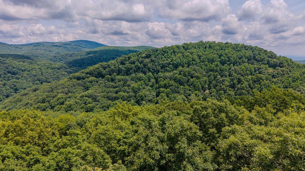 274 Andes Ridge Morganton, GA 30560 - Photo 23 of 24