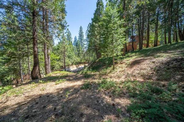 $34,000 | 2595 Chamonix Drive, Arnold, CA 95223