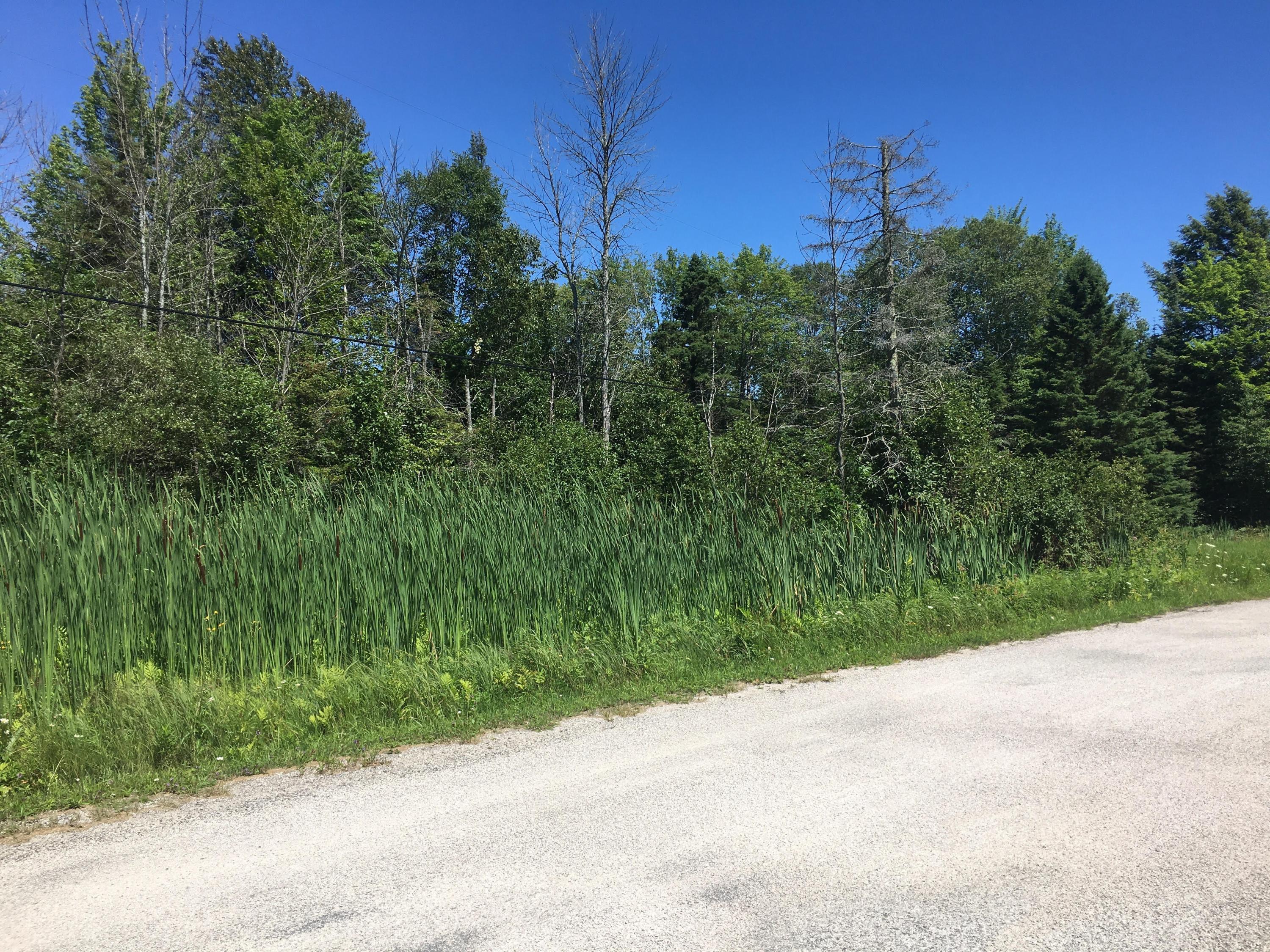 Knowles Road Moran, MI 49760 - Photo 2 of 7 Gallery Image 2