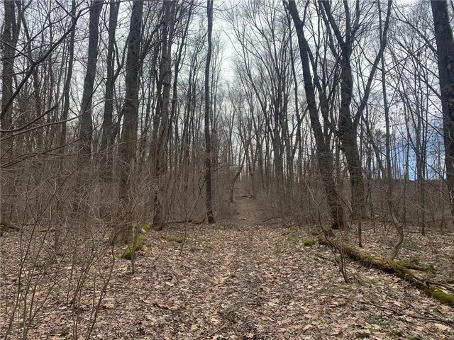 $257,080 | Lot 106-107 West Market Street, Mercer, PA 16137