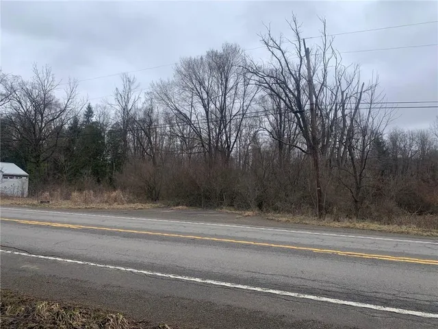 a view of a yard with large trees