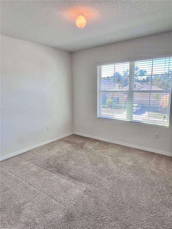 321 Blue Point Drive Ruskin, FL 33570 - Photo 17 of 18 an empty room with a window