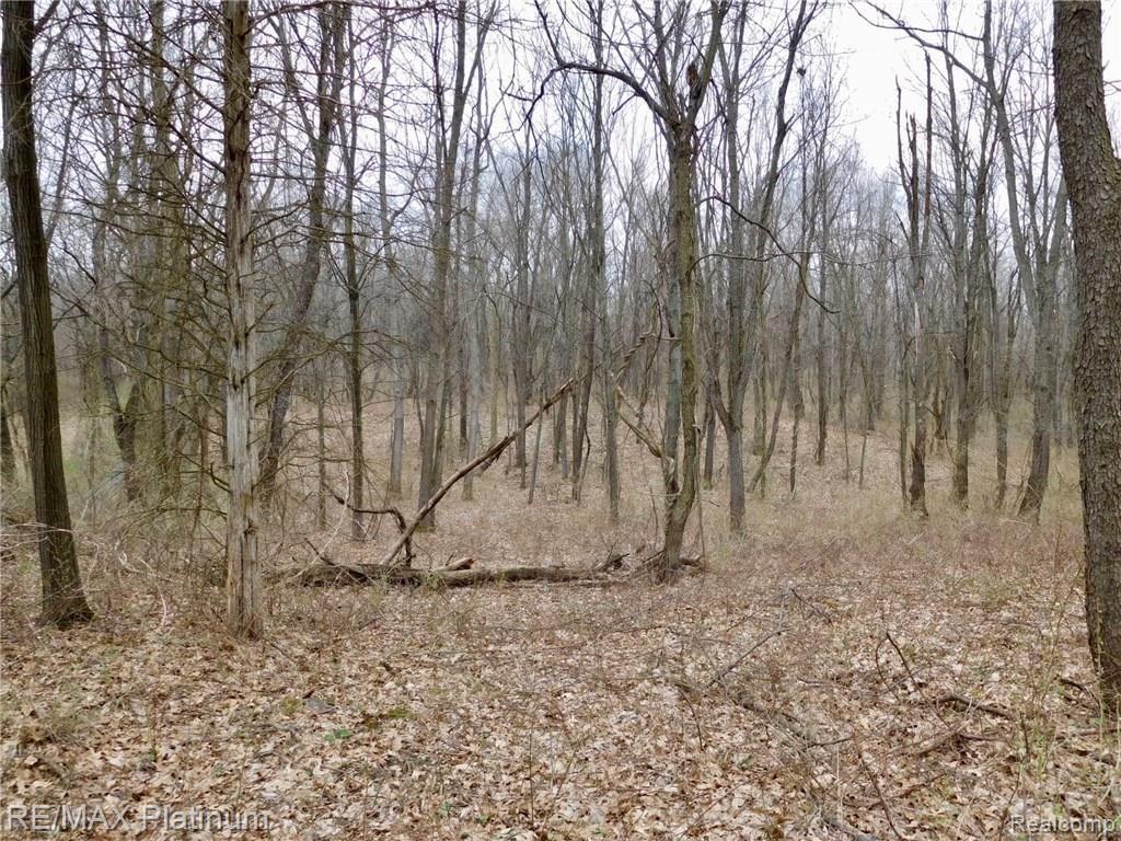 0 West Buno Road Milford, MI 48381 - Photo 8 of 28