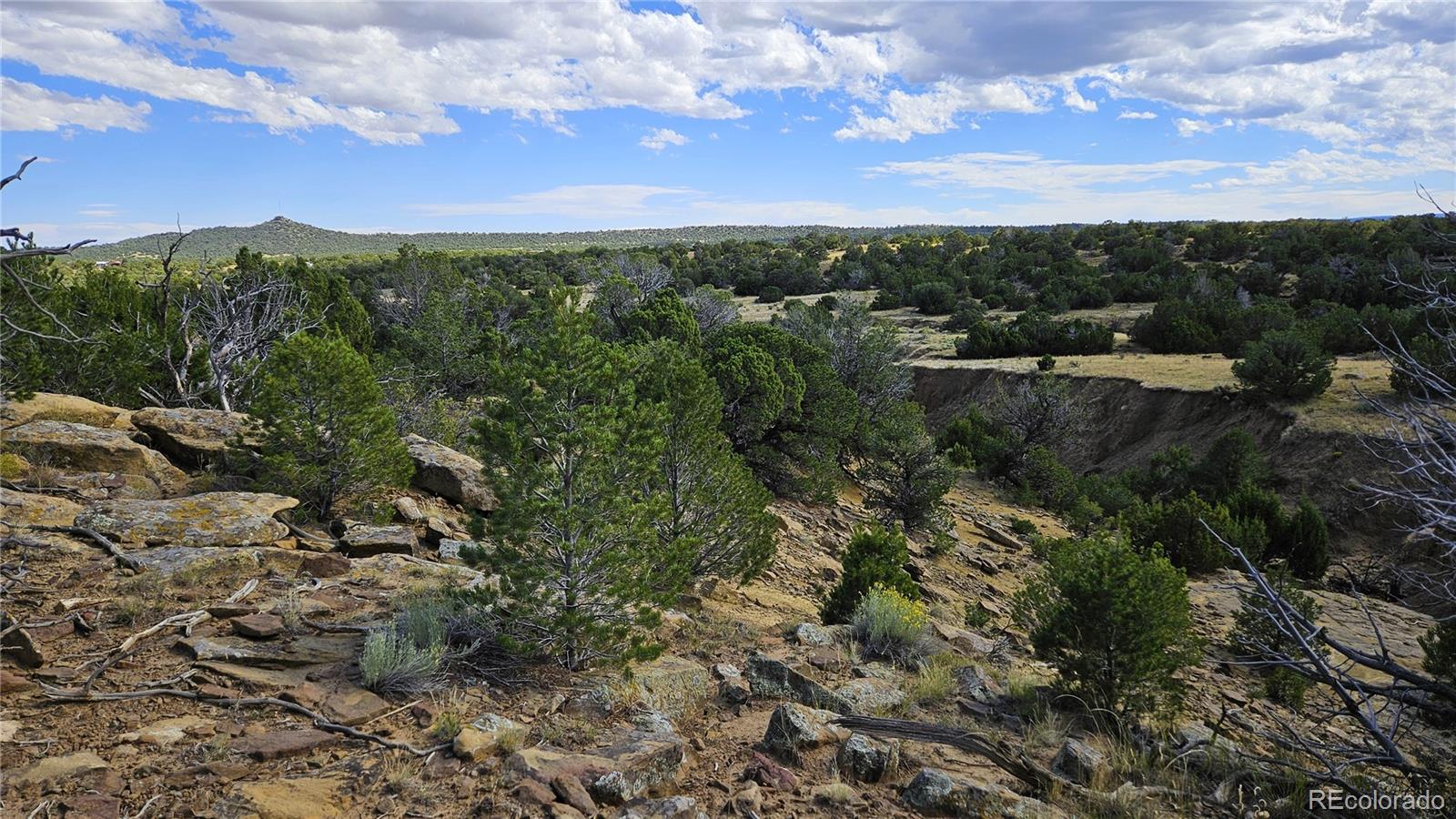776 Rio Cucharas Walsenburg, CO 81089 - Photo 2 of 19 a view of a city with lots of trees