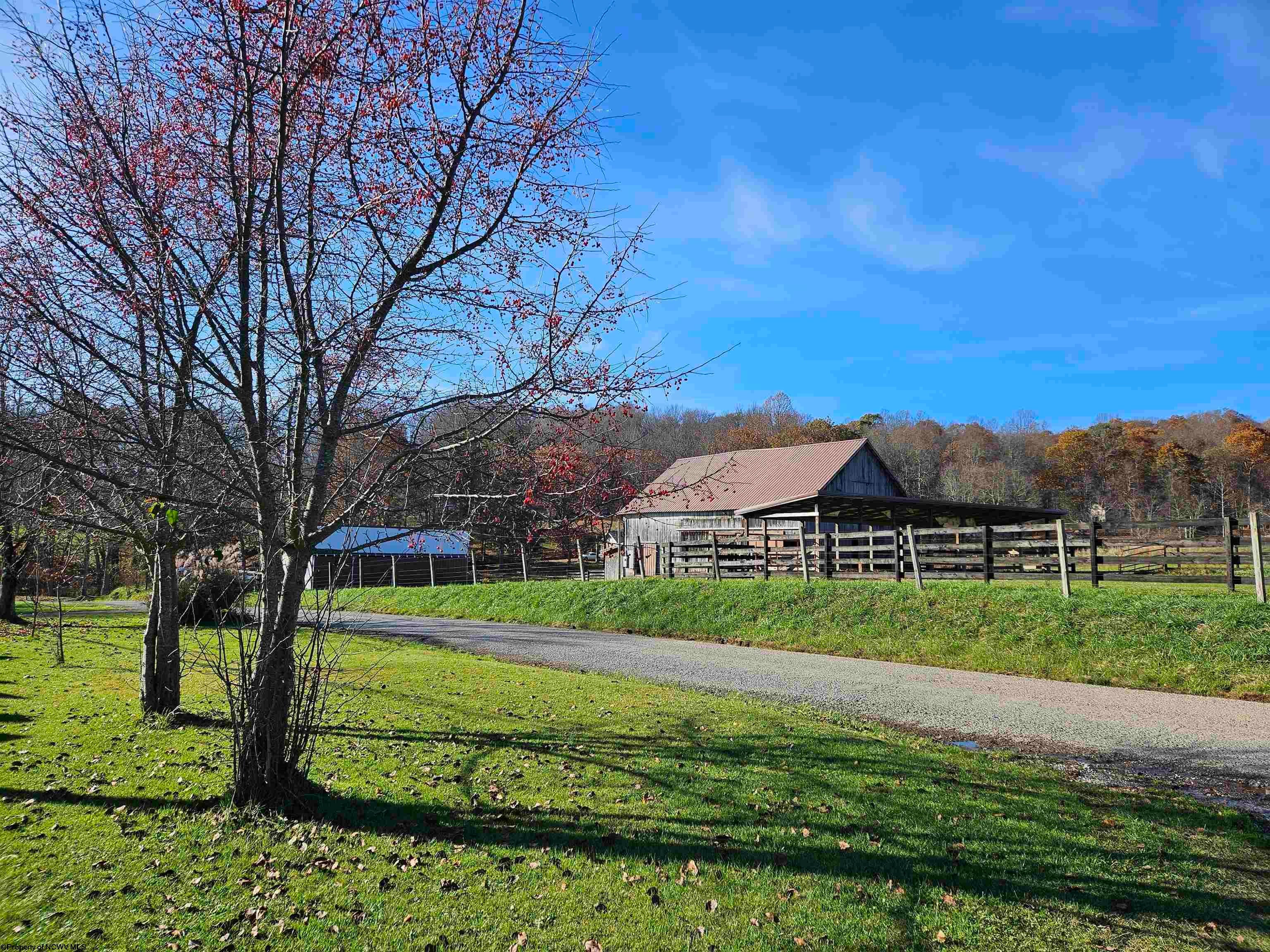 592 Guseman School Road Albright, WV 26519 - Photo 11 of 47 Gallery Image 11
