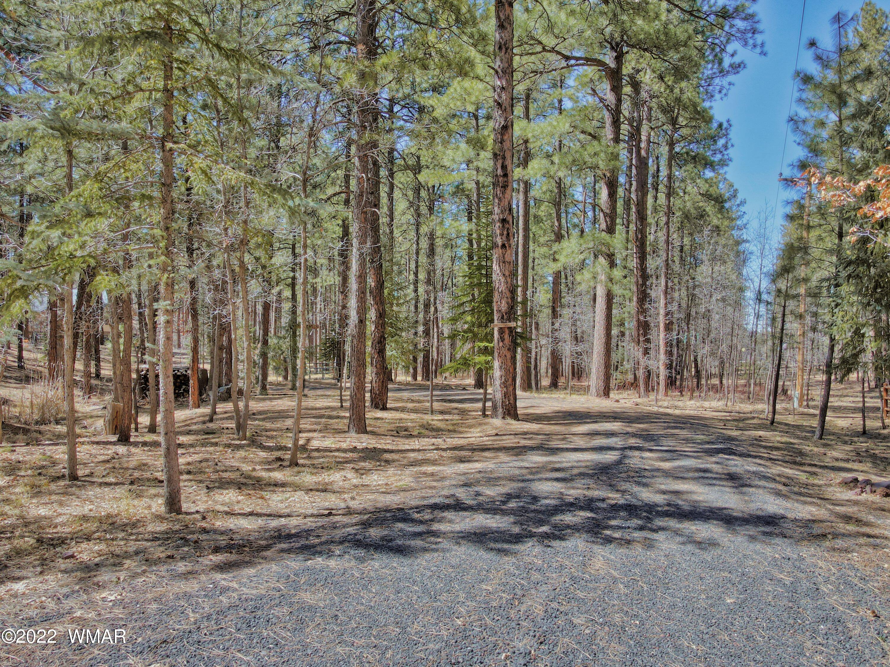 1 South Pine Lake Road Pinetop, AZ 85935 - Photo 4 of 8