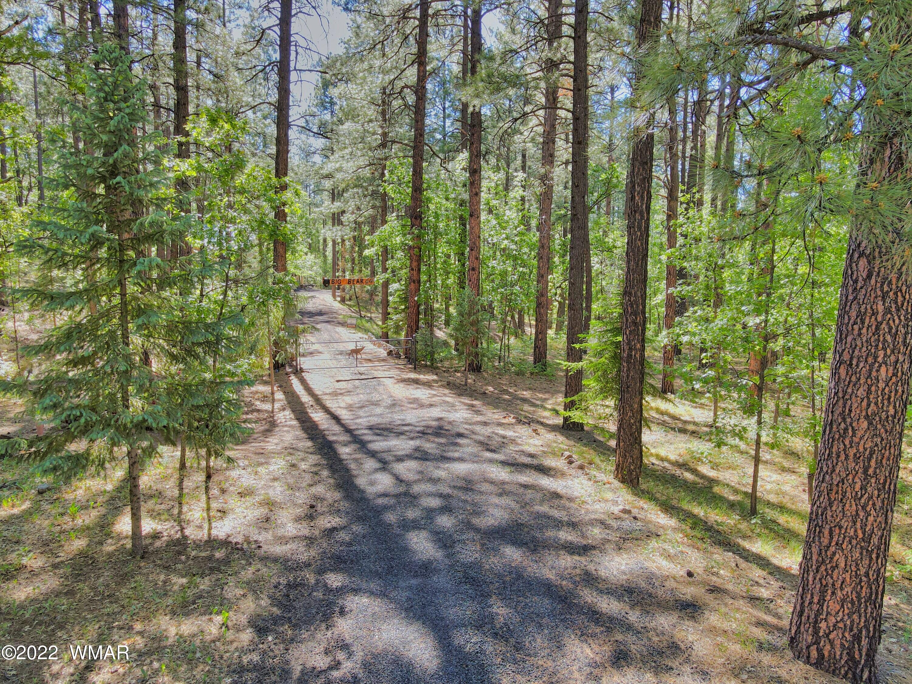 1 South Pine Lake Road Pinetop, AZ 85935 - Photo 5 of 8