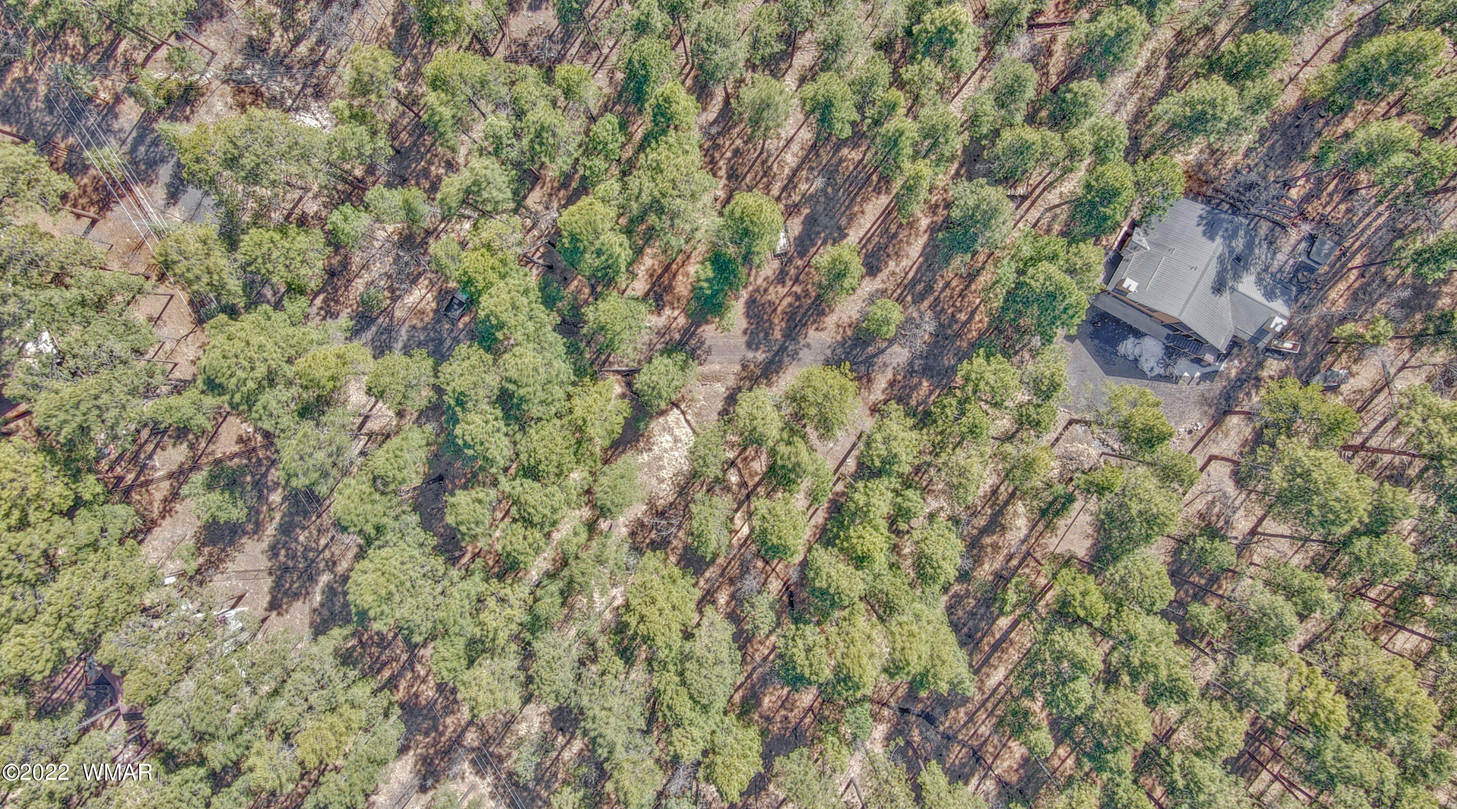 1 South Pine Lake Road Pinetop, AZ 85935 - Photo 8 of 8