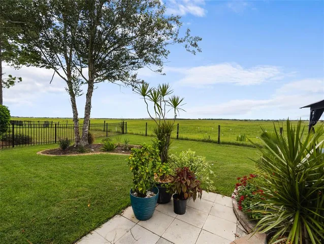 a view of a garden with plants