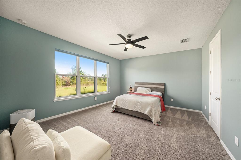 33410 Castaway Loop Wesley Chapel, FL 33543 - Photo 14 of 41