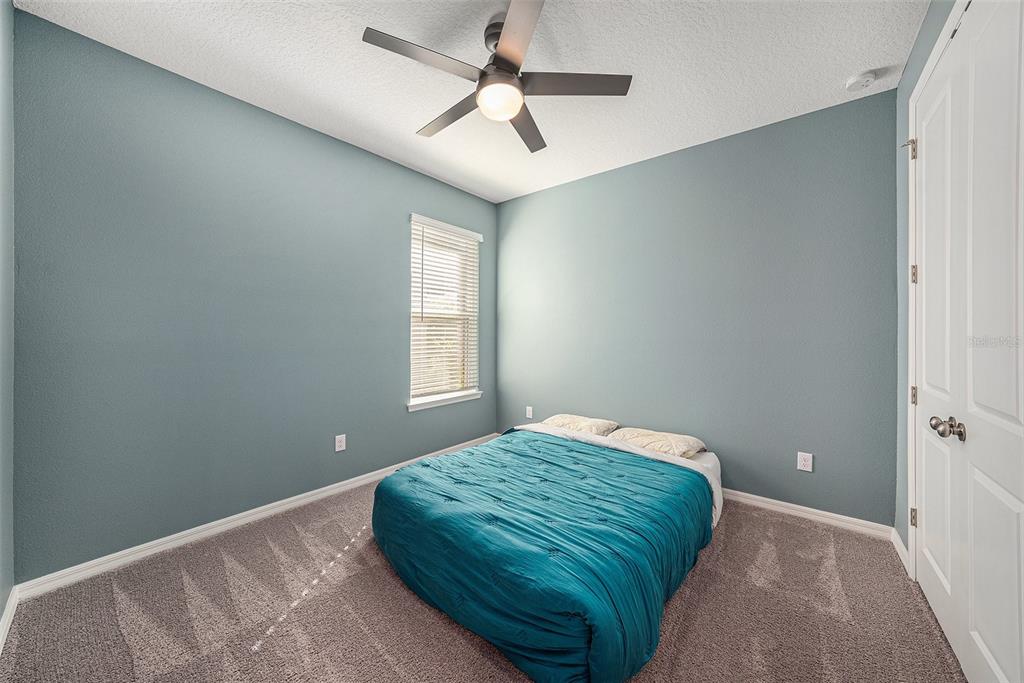 33410 Castaway Loop Wesley Chapel, FL 33543 - Photo 19 of 41