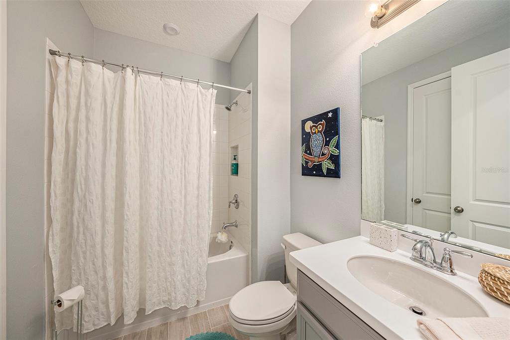 33410 Castaway Loop Wesley Chapel, FL 33543 - Photo 20 of 41