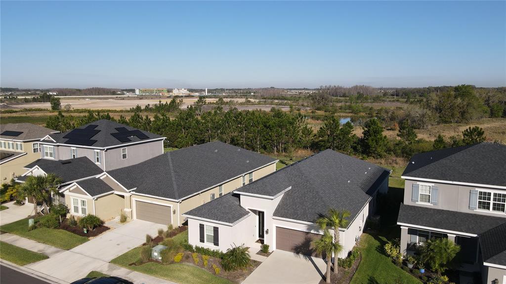 33410 Castaway Loop Wesley Chapel, FL 33543 - Photo 29 of 41