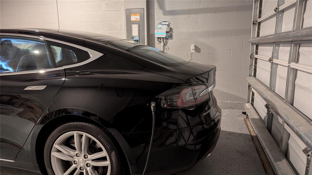 33410 Castaway Loop Wesley Chapel, FL 33543 - Photo 41 of 41