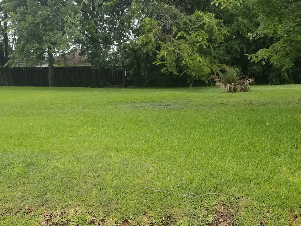 0 Nichols Street Houston, TX 77020 - Photo 14 of 20 a view of a green yard