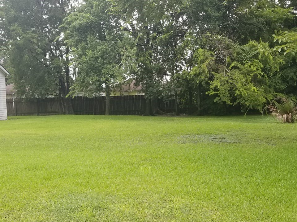 0 Nichols Street Houston, TX 77020 - Photo 20 of 20 a view of a swimming pool and trees in the background