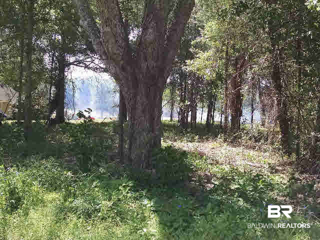 0 East Michigan Avenue Foley, AL 36535 - Photo 2 of 8