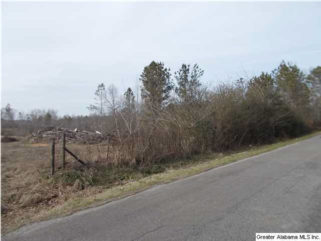 17 Gaines Road, Unit 17 Jasper, AL 35503 - Photo 4 of 4