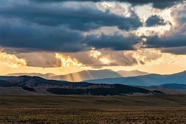a view of a big yard of a house