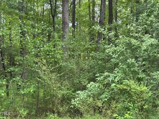 a view of a lush green forest
