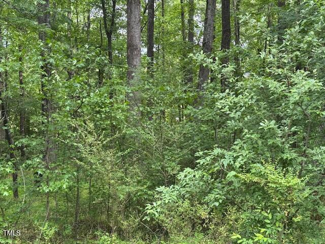 103 Spring Blossom Lane Durham, NC 27705 - Photo 3 of 10 a view of a lush green forest