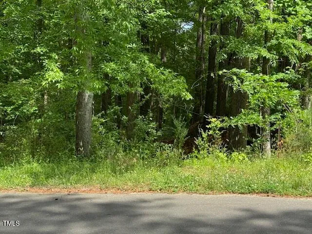 a view of a yard and large trees